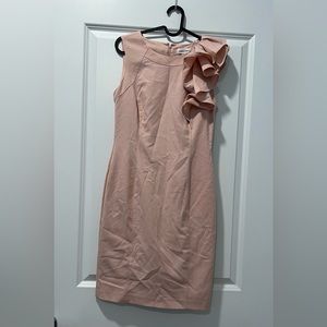 Calvin Klein Semi Formal Blush Dress
